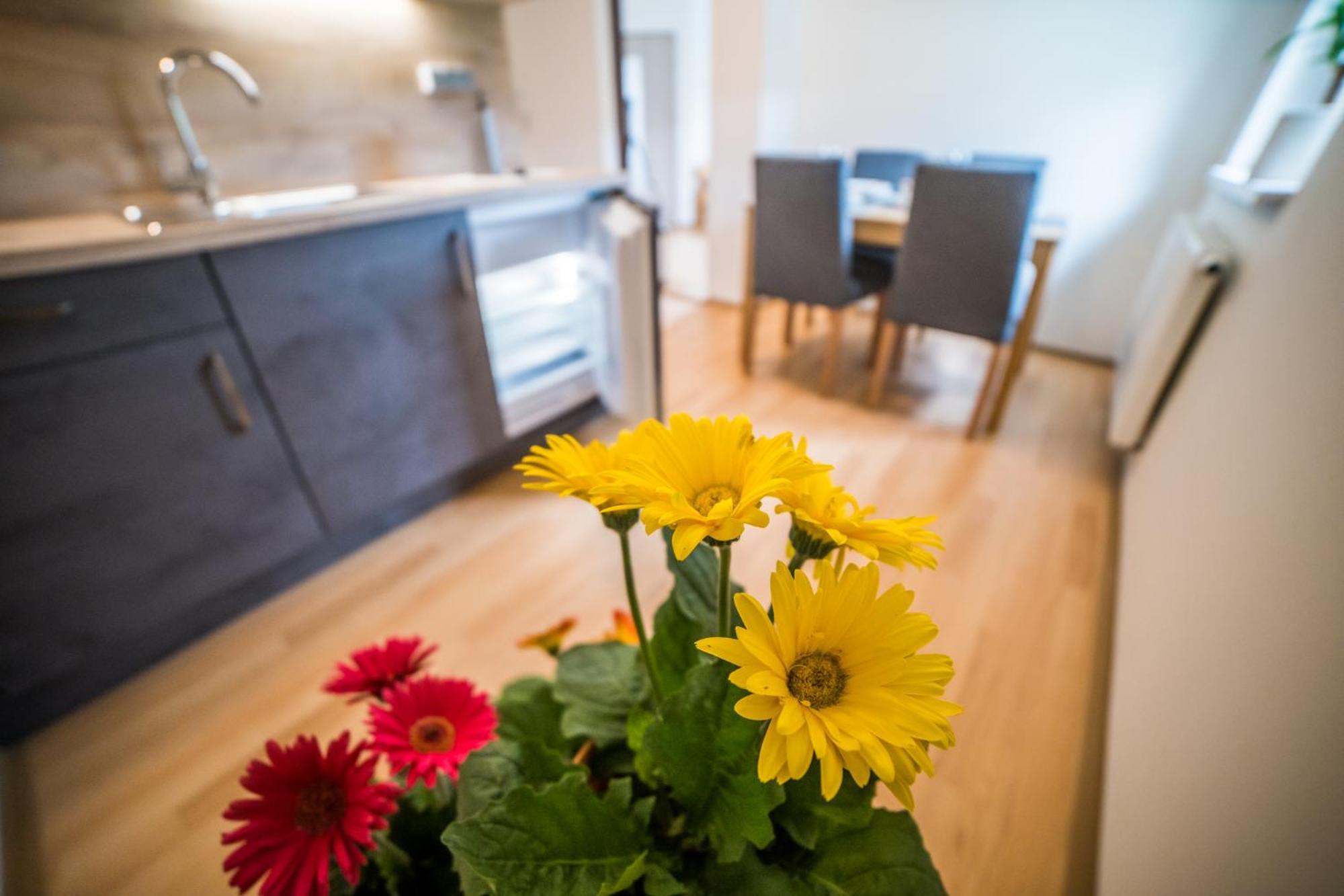 Apartmany Hasicarna Horní Vltavice Buitenkant foto